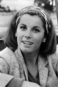 الممثل Stefanie Powers