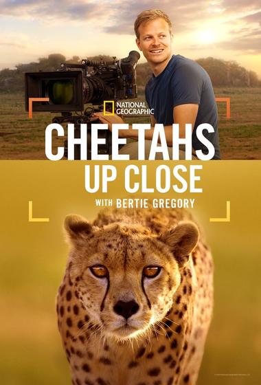 فيلم Cheetahs Up Close with Bertie Gregory 2026 مترجم - باهي فيلم