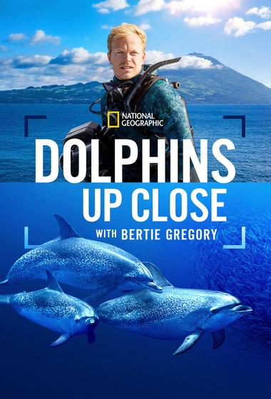 فيلم Dolphins Up Close with Bertie Gregory 2025 مترجم - باهي فيلم