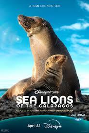 فيلم Sea Lions of the Galapagos مترجم (2025)
