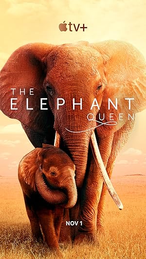 فيلم The Elephant Queen مترجم (2018)