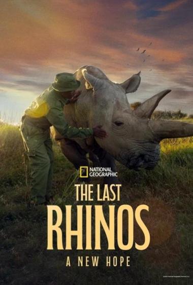 فيلم The Last Rhinos: A New Hope مترجم (2025)